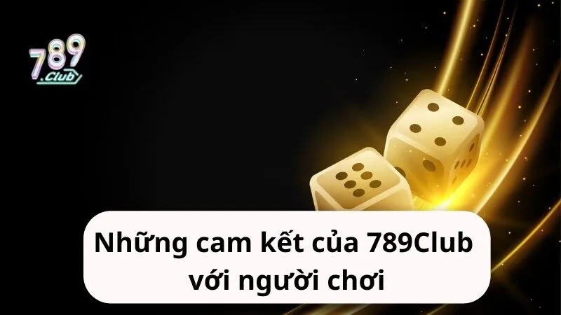 nhung cam ket cua 789club voi nguoi choi Những cam kết của 789Club với người chơi